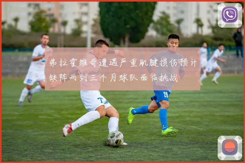 弗拉霍维奇遭遇严重肌腱损伤预计缺阵两到三个月球队面临挑战
